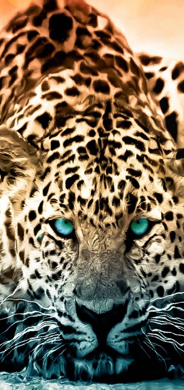 Animal Jaquar bb       d ba   b  be    c     b