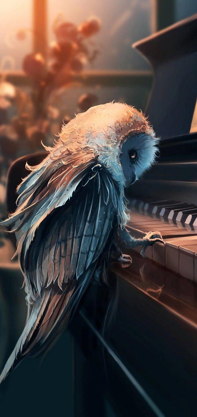 Animal a d                 d f           c