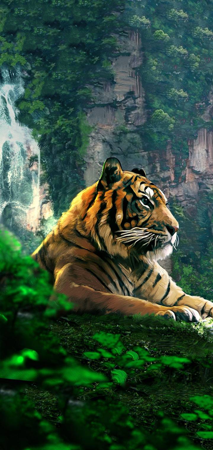 Animal   c  aab   ef      b    edea  c