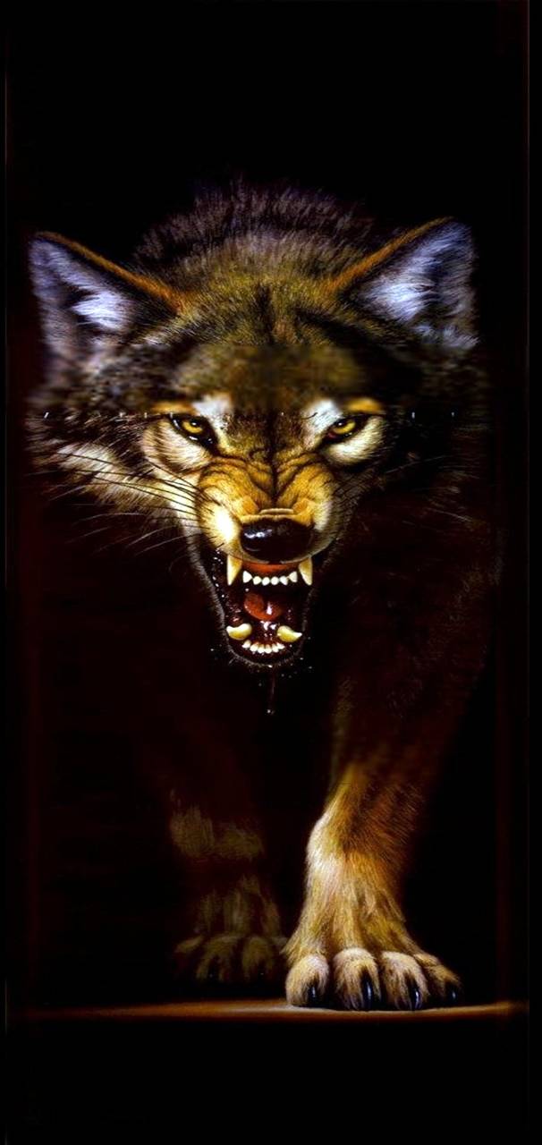 Animales      db   b  d  e         d ef  e c  de