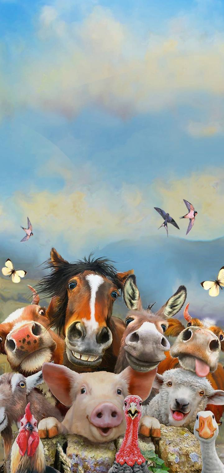 Animals Selfie   a ca d  a e  c          e   b c  a