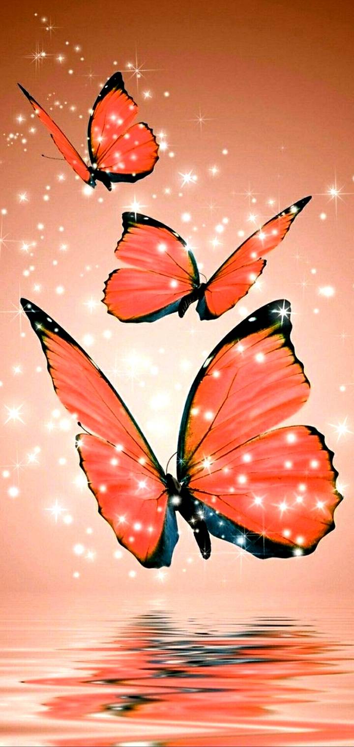 Butterfly Sparkles  e    d  a d    aa badc ee f