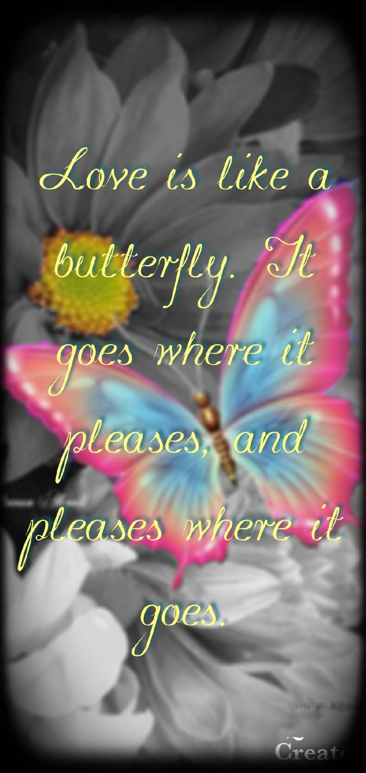 Butterfly  c  a   d  e        a  a bc     a f d