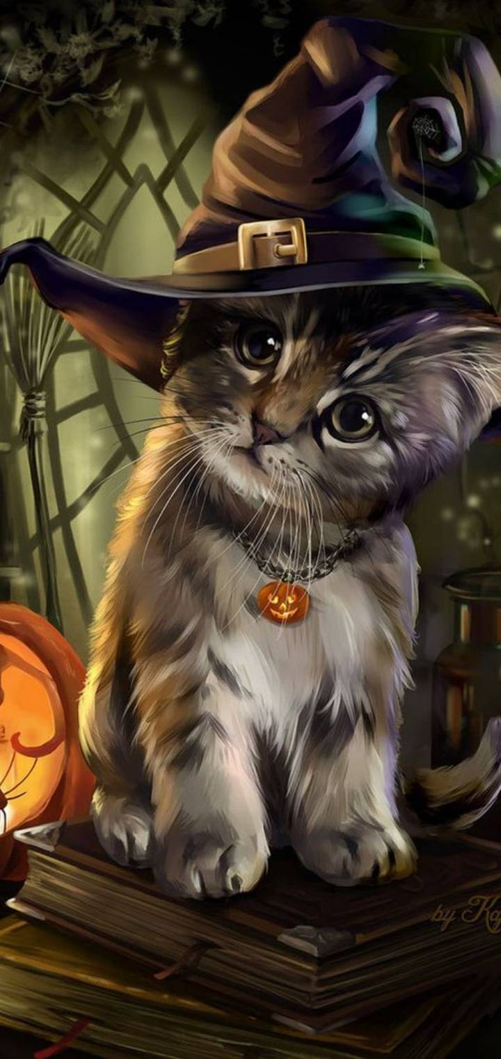 Cute Halloween Kitty dfa    c   a        e       f f cd