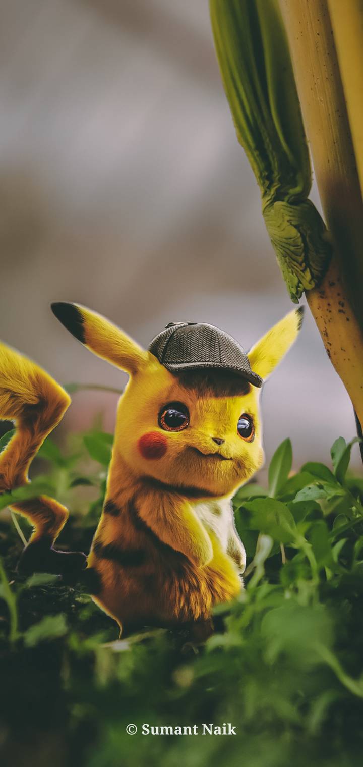 Detective pikaccc