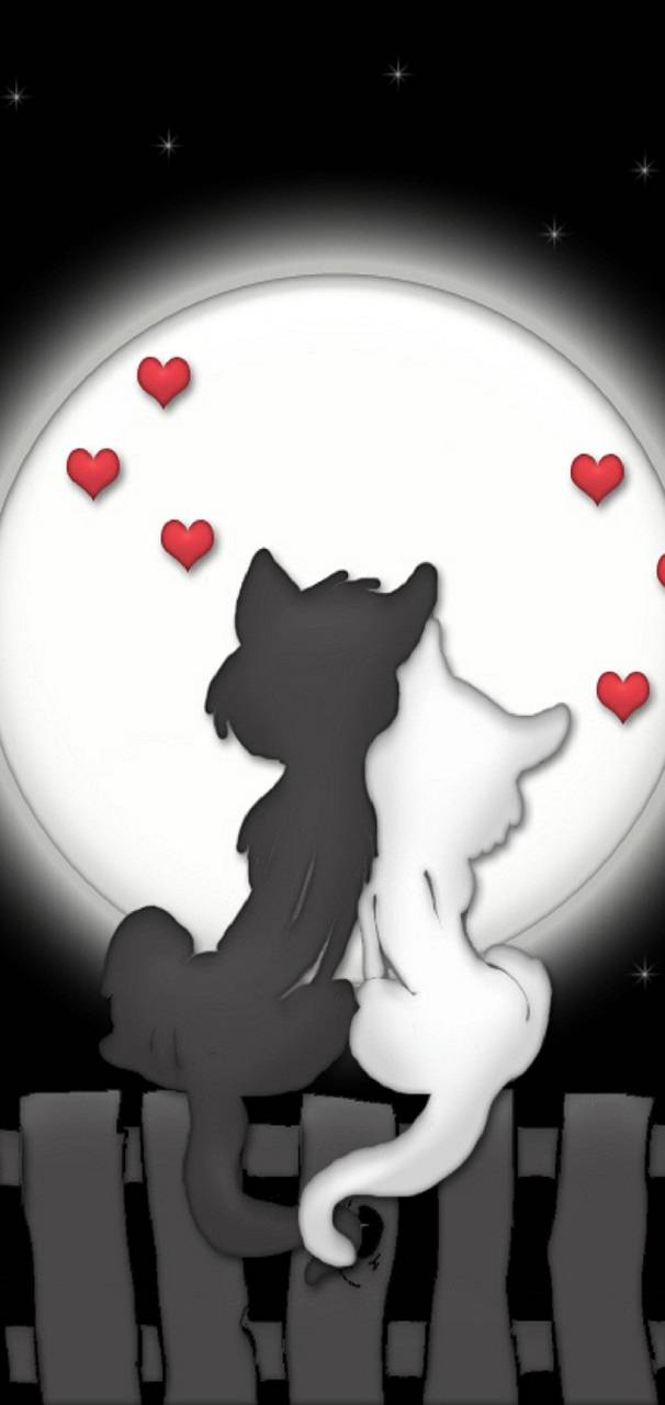 Love cats a    a          bb    f      d e e a