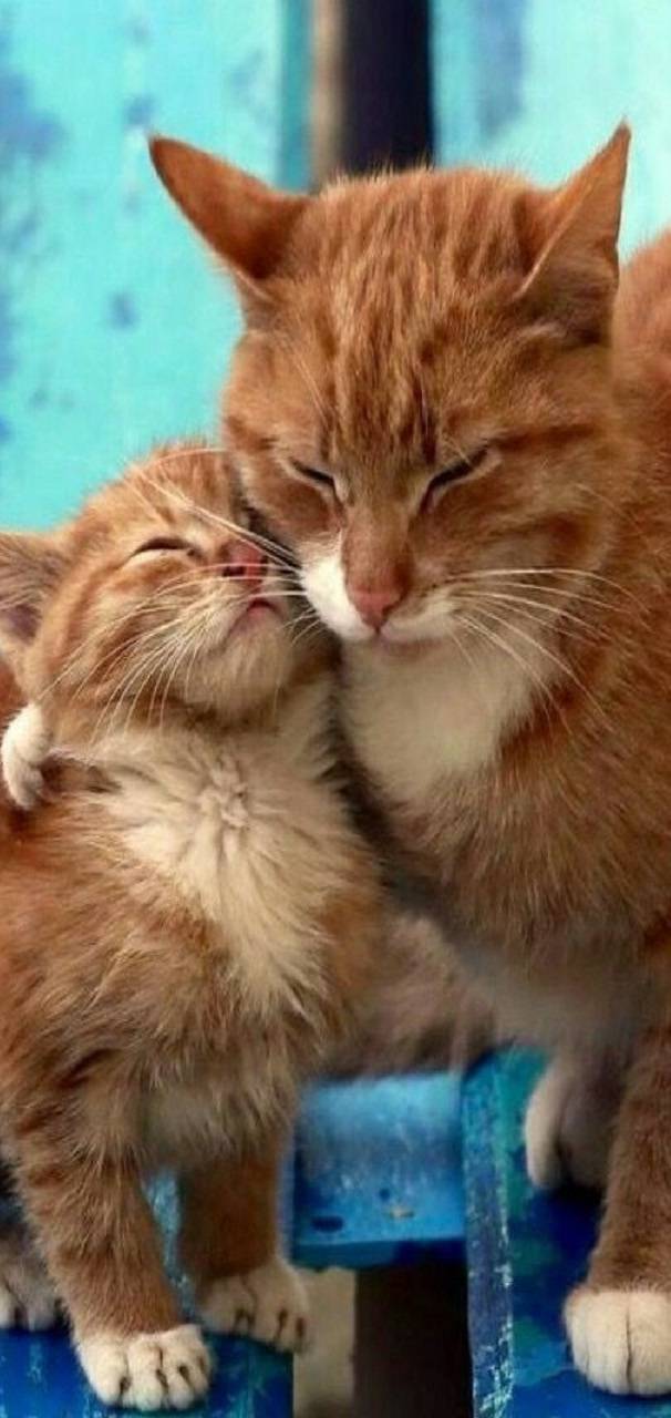 Love e ab   e   d   f        b        ff