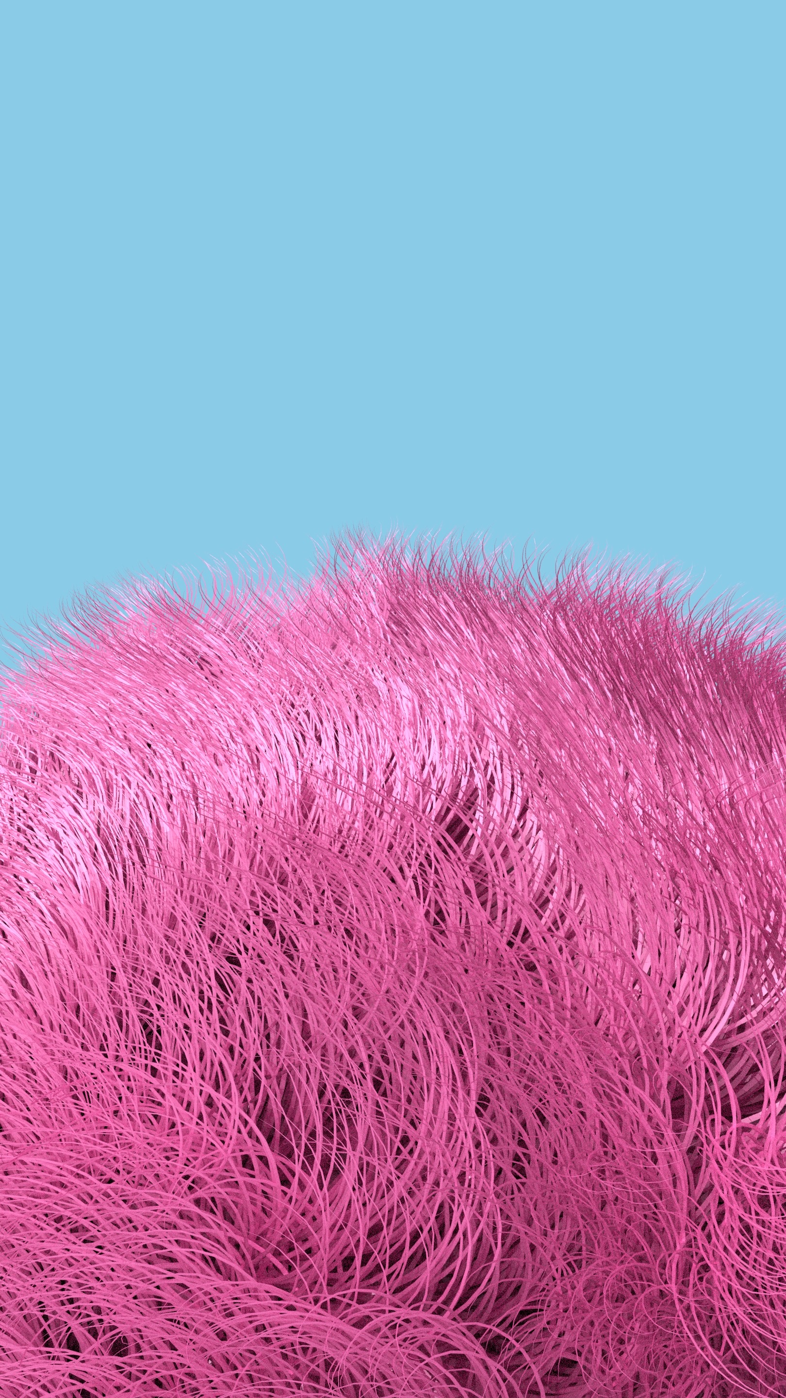 Pink Fur WALLPA.jpeg
