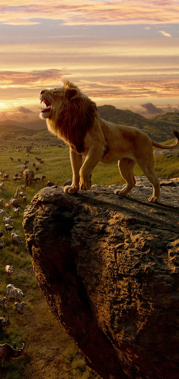 The Lion King  cc e           db  f   fd    ece ac