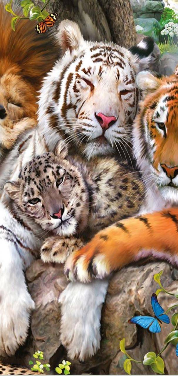 Wild Animals  cf f d  ec     be       fe   b   db