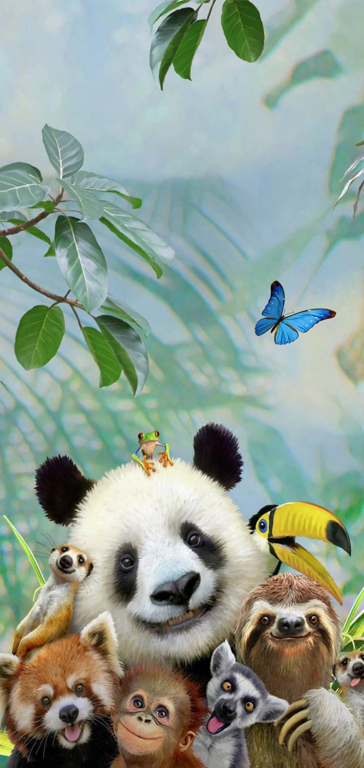 Wildlife Selfie  b dae e bbe   ec  a c  b     fbe ba