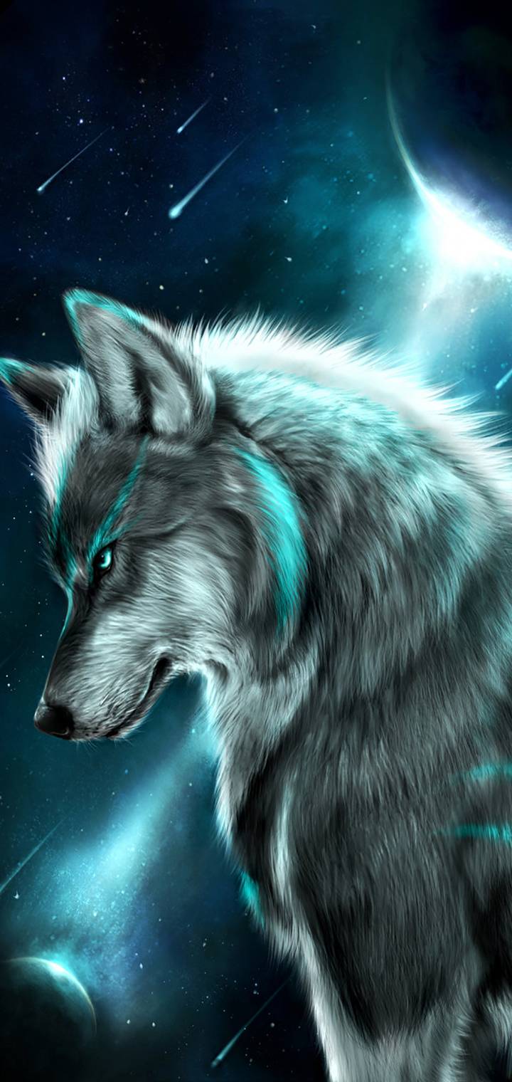 wolf f a f ae df e         c    e f dd d